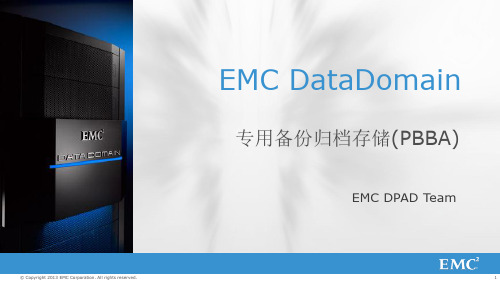 EMC DataDomain 解决方案