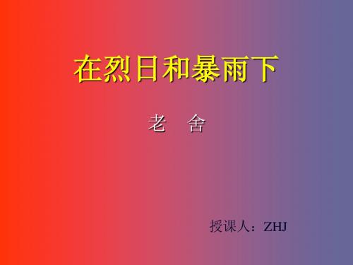 在烈日和暴雨下课件