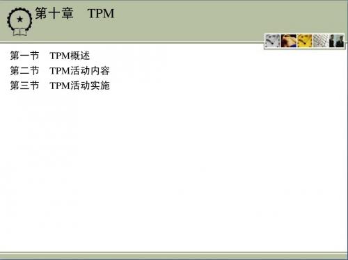 10第十章 TPM