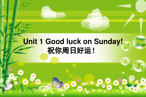 新概念青少版2A unit 2 Good luck on Sunday!