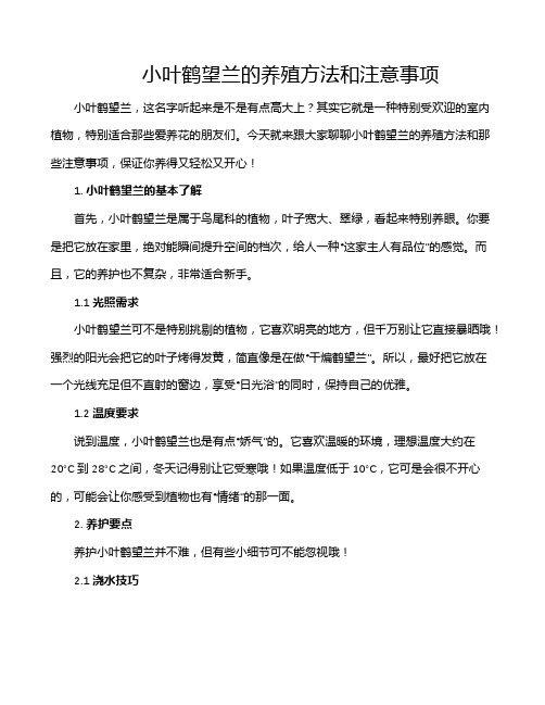 小叶鹤望兰的养殖方法和注意事项