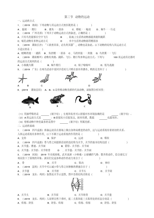 2019年中考生物真题分类：动物的运动