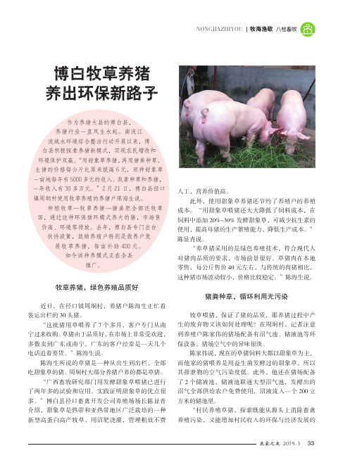 博白牧草养猪养出环保新路子