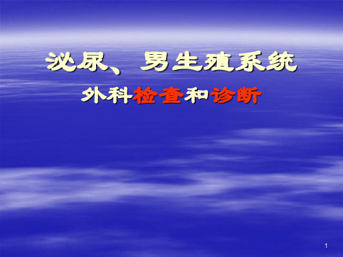 泌尿、男生殖系统外科检查和诊断医学PPT课件