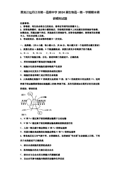 黑龙江牡丹江市第一高级中学2024届生物高一第一学期期末调研模拟试题含解析