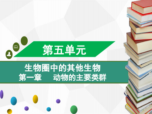 人教版八年级上册生物 第五单元 第一章动物的主要类群 章末小结 课件