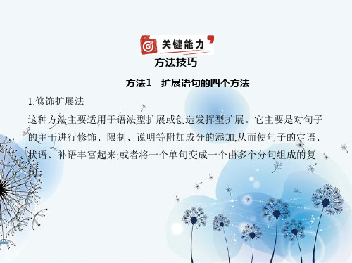 2022版新高考语文一轮总复习A版课件:专题四扩展语句压缩语段 —方法技巧