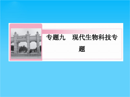 高三生物二轮复习课件9-18胚胎工程、生物技术、安全性和伦理问题、生态工程