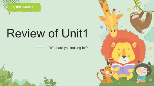 Unit1 What are you looking for_复习课件(课件)北京版英语六下