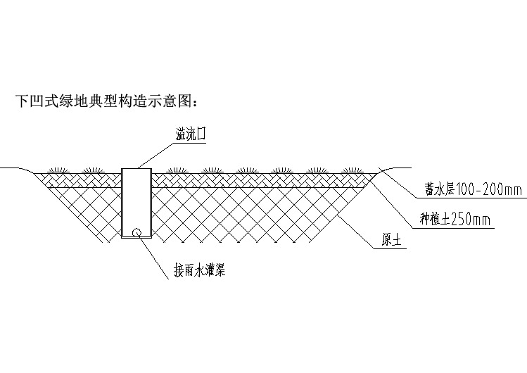 海绵城市下凹式绿地典型构造示意图