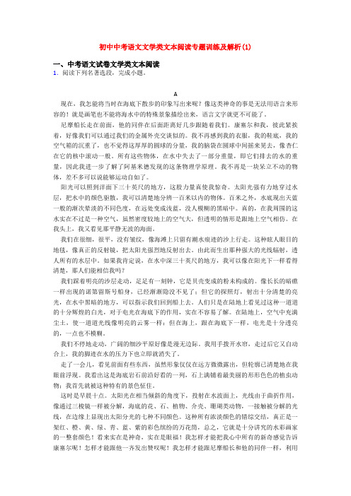 初中中考语文文学类文本阅读专题训练及解析(1)