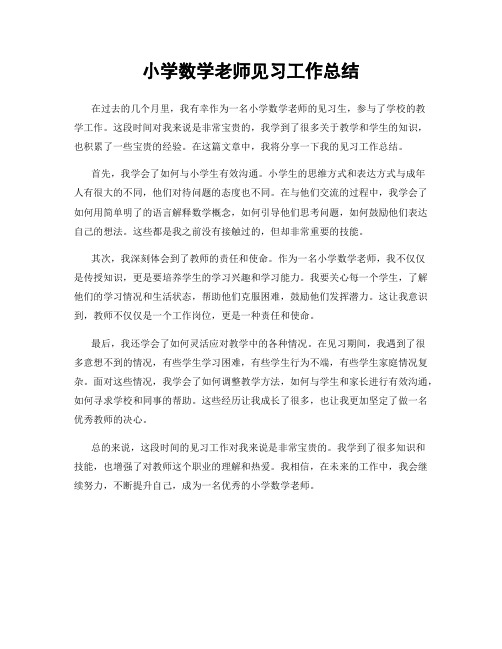 小学数学老师见习工作总结