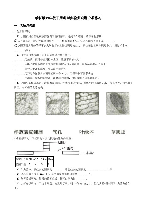 教科版六年级下册科学实验探究题专项练习 (附答案)