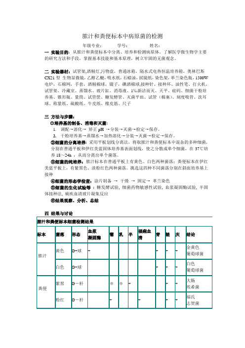 脓汁和粪便标本中病原菌的检验实验报告