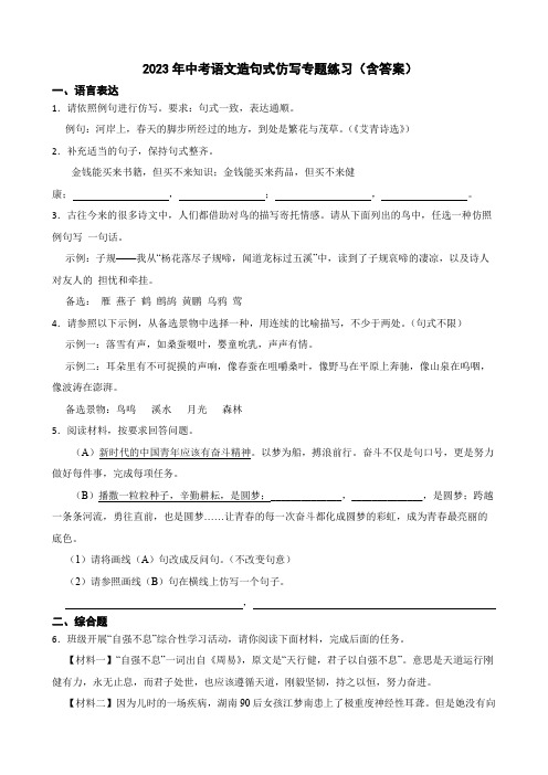 2023年中考语文造句式仿写专题练习(含答案)