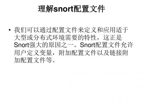 snort01理解snort配置文件-PPT课件