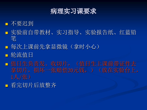 病理学图谱实验一、细胞组织的适应、损伤与损伤修复