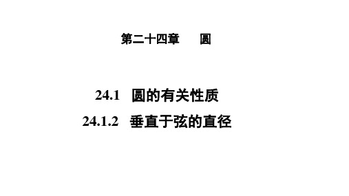 人教版九年级数学上册《24.1.2垂直于弦的直径》课件(共19张PPT)