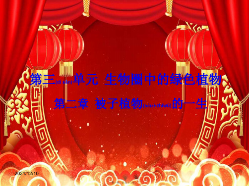中考生物 第三单元 第二章 被子植物的一生复习课件级全册生物课件