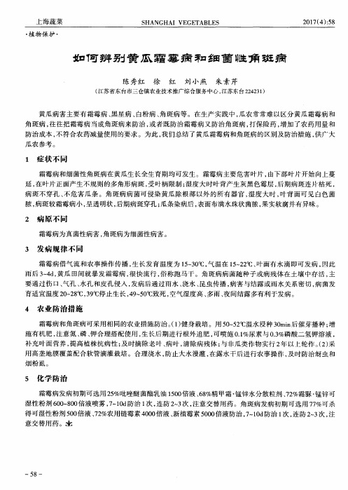 如何辨别黄瓜霜霉病和细菌性角斑病