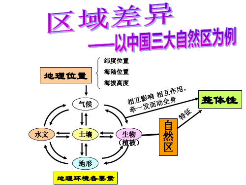 亚热带常绿阔叶林与温带落叶阔叶林暖温带与亚热带