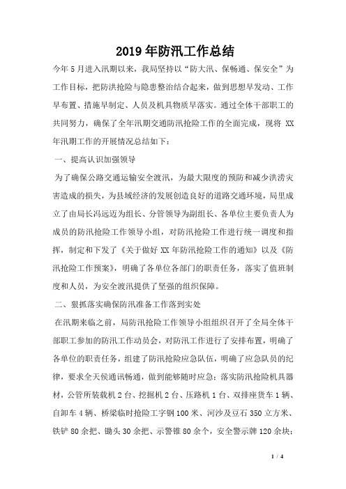 2019年防汛工作总结