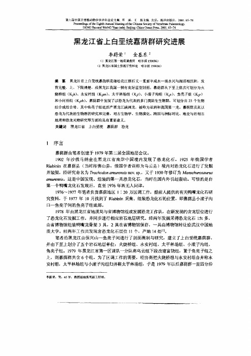 黑龙江省上白垩统嘉荫群的研究进展