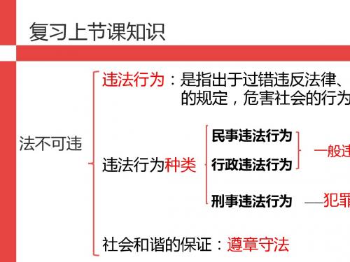 人教部编版5.2 预防犯罪课件(25张幻灯片)