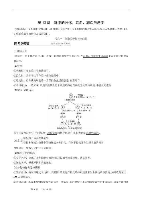 高中生物复习：第13讲 细胞的分化、衰老、凋亡与癌变