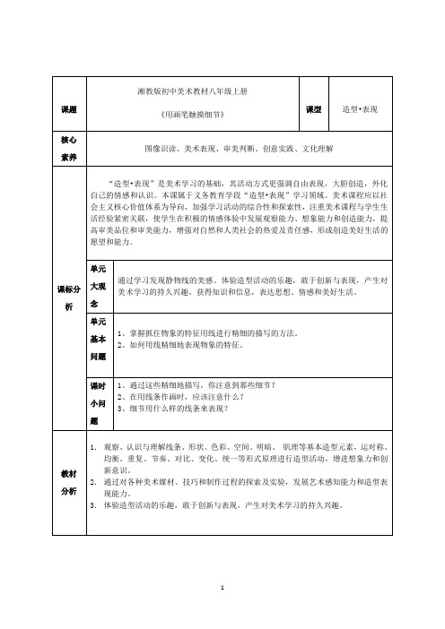 初中美术《用画笔触摸细节》 教学设计