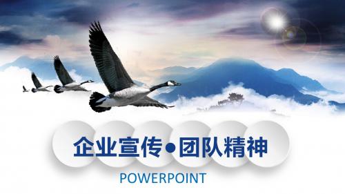 企业文化公司简介团结团队精神PPT模板