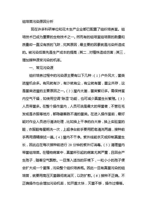 组培苗污染原因分析