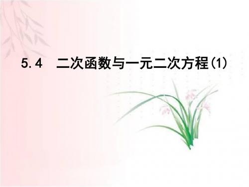 新苏科版九年级数学下册第5章 二次函数《5.4二次函数与一元二次方程》优质课件