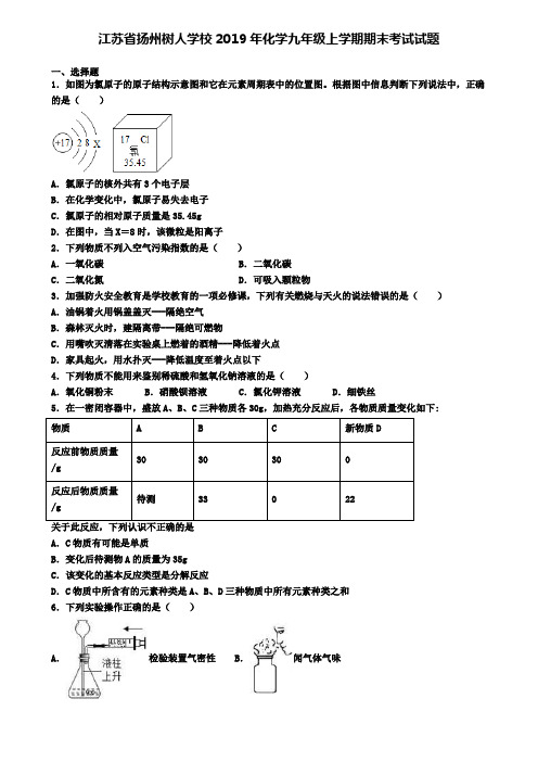 江苏省扬州树人学校2019年化学九年级上学期期末考试试题