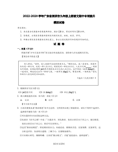 2022-2023学年广东省深圳市九年级上册语文期中专项提升模拟试卷(含解析)