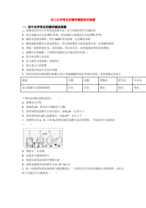 初三化学常见的酸和碱提高训练题