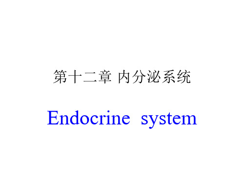 人体解剖生理学课件：第12章 内分泌系统