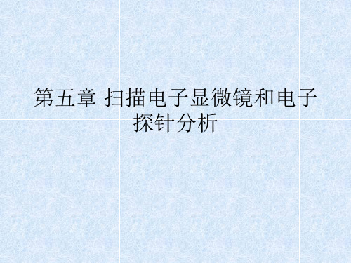 扫描电子显微镜与电子探针分析资料(ppt 54页)