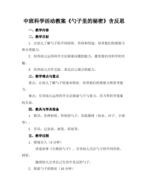 中班科学活动教案《勺子里的秘密》含反思