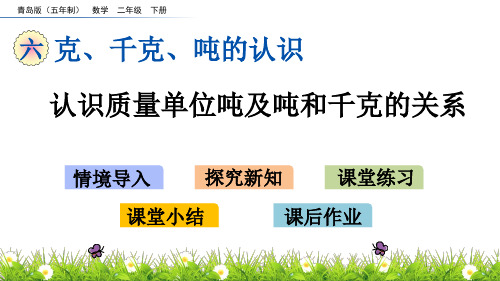 青岛版(五年制)二年级数学下册6.3 认识质量单位吨及吨和千克的关系 课件