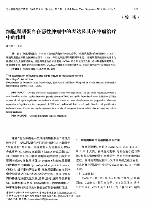 细胞周期蛋白在恶性肿瘤中的表达及其在肿瘤治疗中的作用