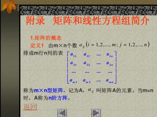 附录 矩阵和线性方程组简介