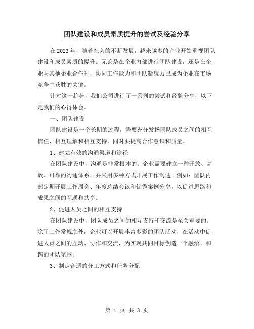 团队建设和成员素质提升的尝试及经验分享