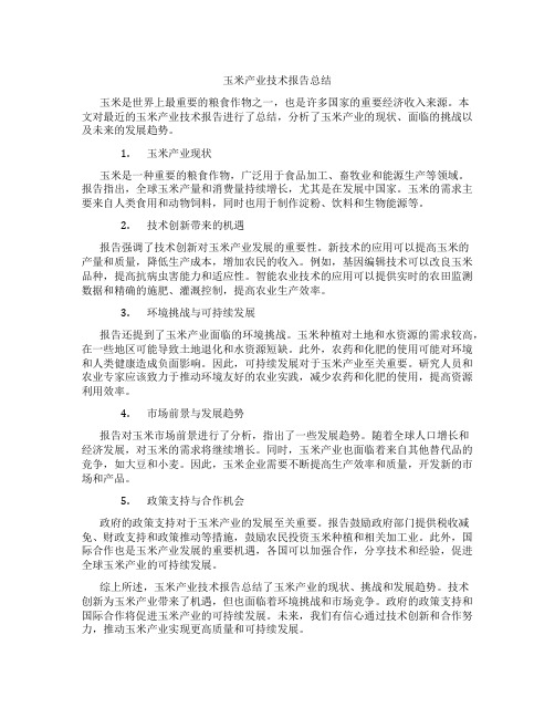 玉米产业技术报告总结