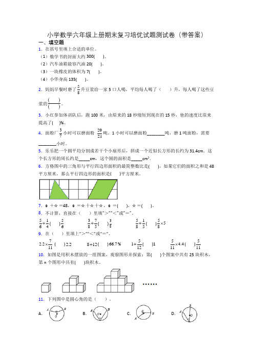 小学数学六年级上册期末复习培优试题测试卷(带答案)