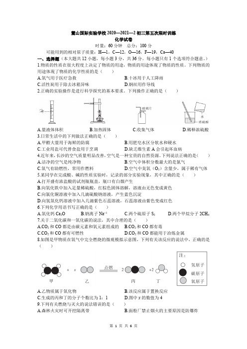 湖南省长沙市麓山国际实验学校20202021学年九年级下学期第五次限时检测化学试卷