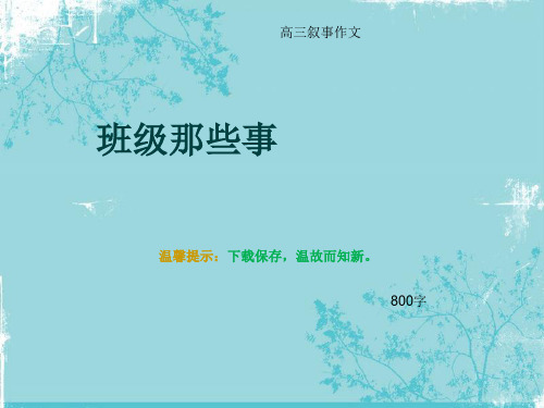 高三叙事作文《班级那些事》800字