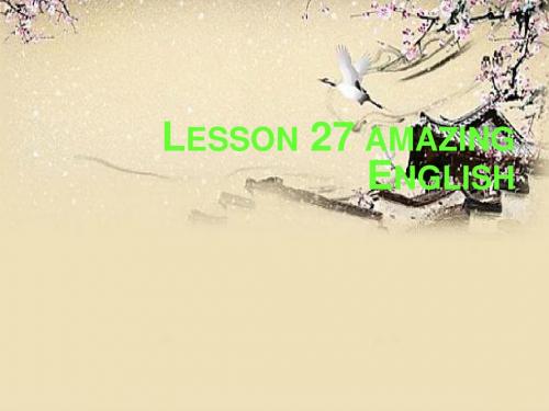 冀教初中英语七下《Lesson 27 Amazing English》PPT课件 (3)