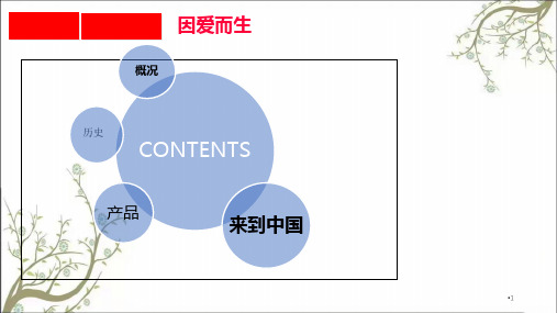 强生医疗器械简介课件