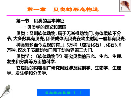 第一章贝类的形态构造